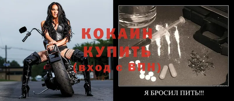 где найти наркотики  Моршанск  mega   COCAIN FishScale 